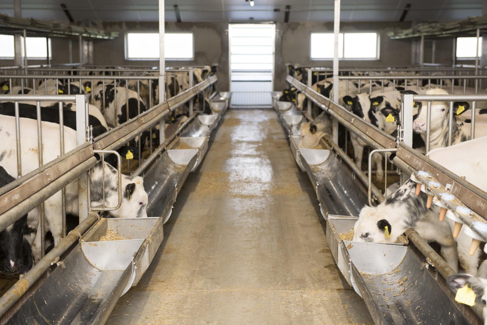 Aandachtspunten agrariërs